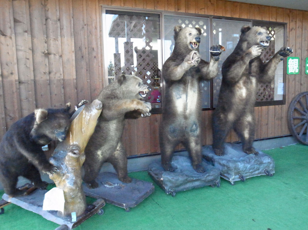 友谊熊-七饭町必去景点