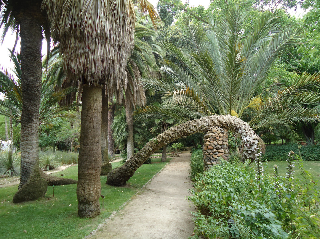 Orto Botanico景点图片