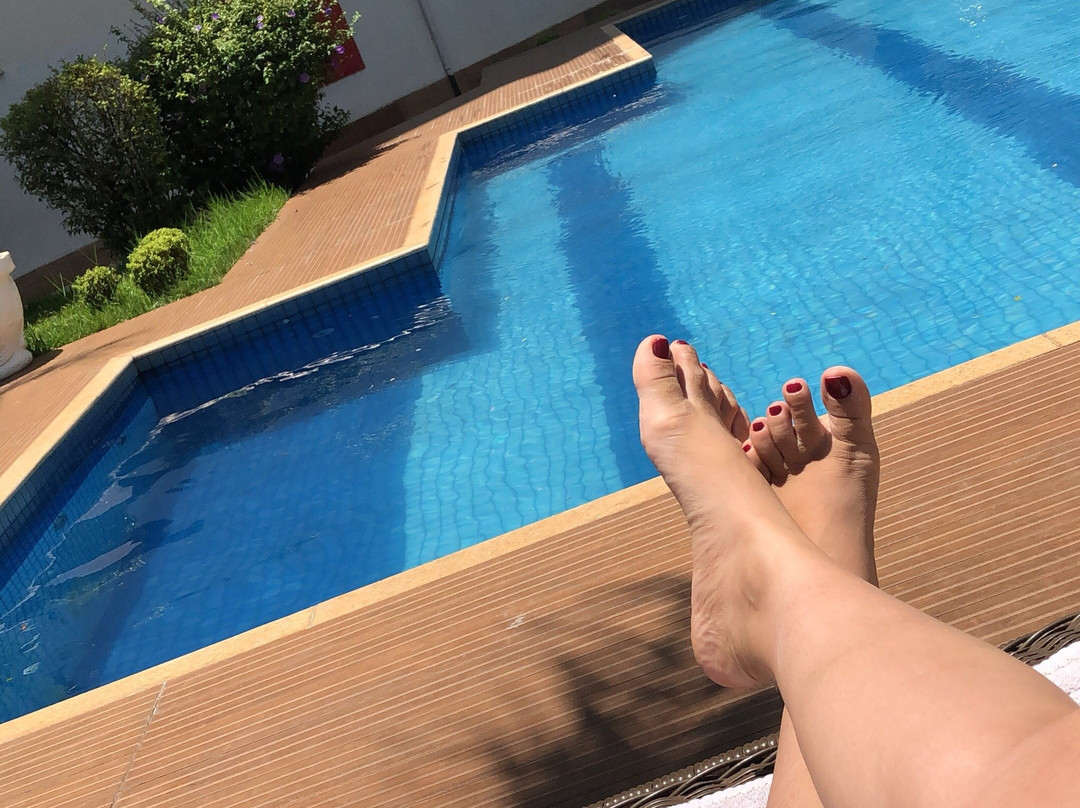 Shelton Palace Hotel主图