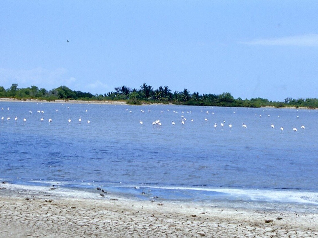 BEST Kilimanjaro CLIMB | HIKE | BIKE TREK | Tanzania Safaris from Moshi & Arusha