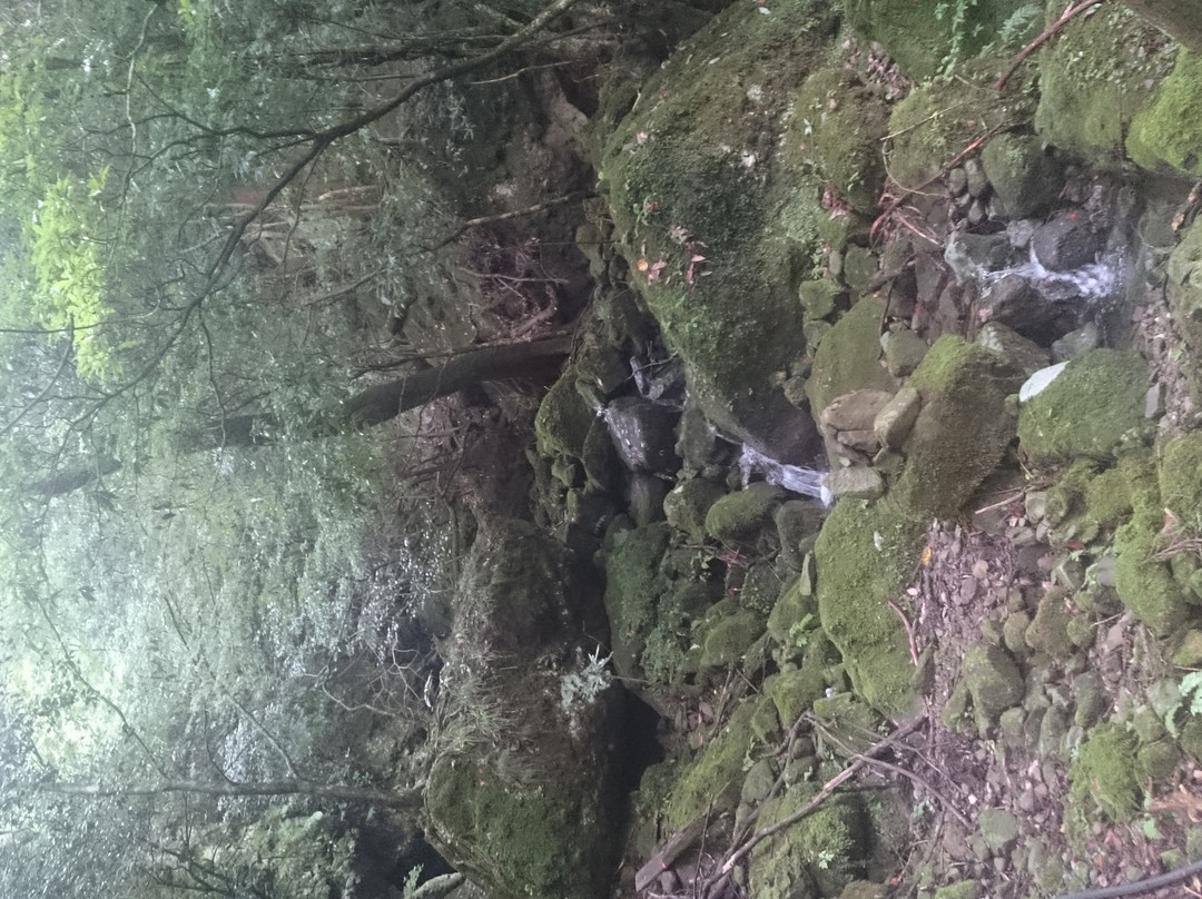 Kiinoko Castle Ruins