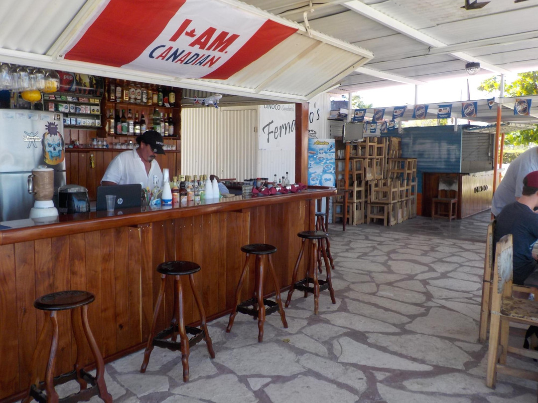 Playa Santa Lucia餐馆和美食-Dinoco