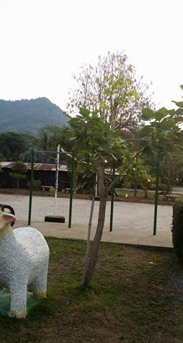 Kwannakorn Sport Garden Resort-家庭/游戏区