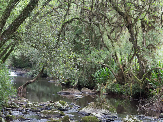 Pinguela Do Rio Cadeia-Santa Maria do Herval必去景点