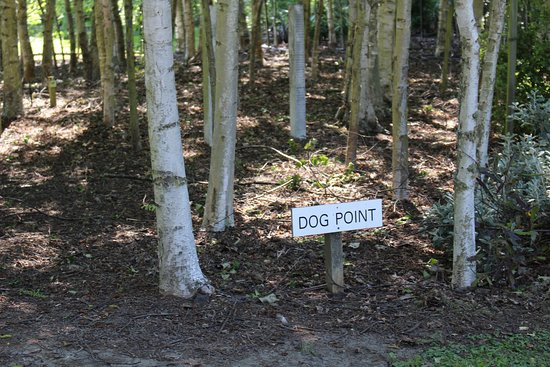 Dog Point Vineyard景点图片