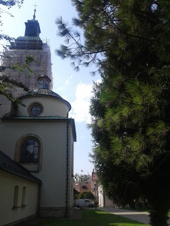 Konkatedra Narodzenia Najswietszej Maryi Panny-Zywiec必去景点