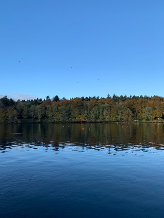 Belleek Forest Park-巴利纳必去景点