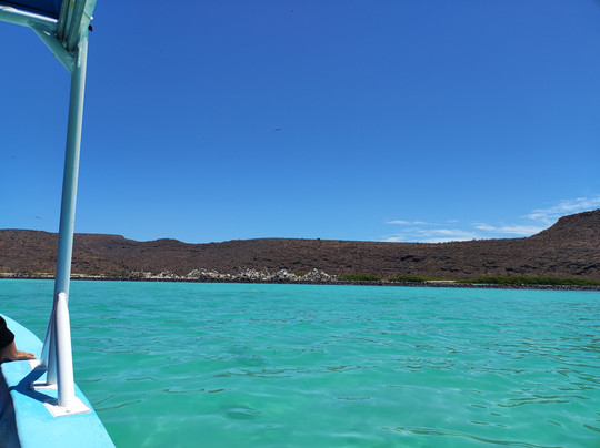 Salty Life in Baja-拉巴斯必去景点