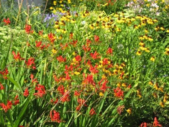 Det Kgl. Bibliotek-哥本哈根必去景点