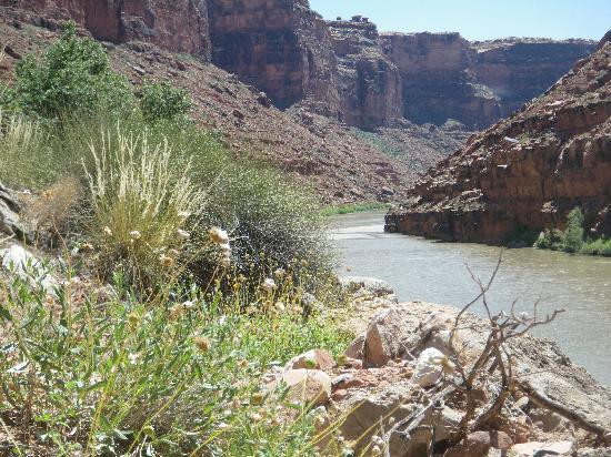 Wild Expeditions-布拉夫必去景点