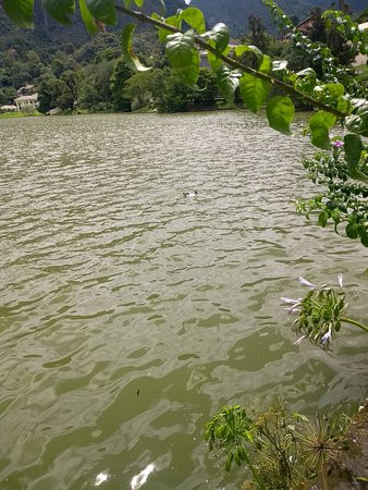 Granja Comary-特雷索波利斯必去景点