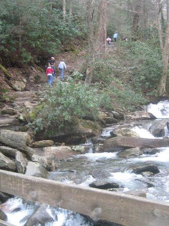 Chimney Tops Trail-大雾山国家公园必去景点