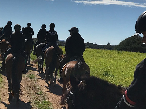 Club Hipico Es Pi-马洛卡帕尔马必去景点