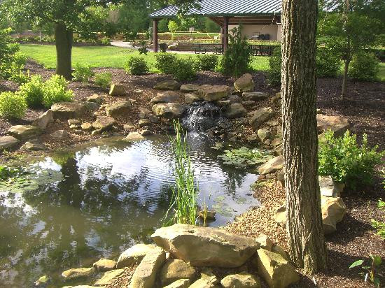 Creation Museum-Petersburg必去景点