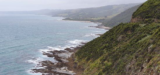 Cape Patton Lookout Point景点图片