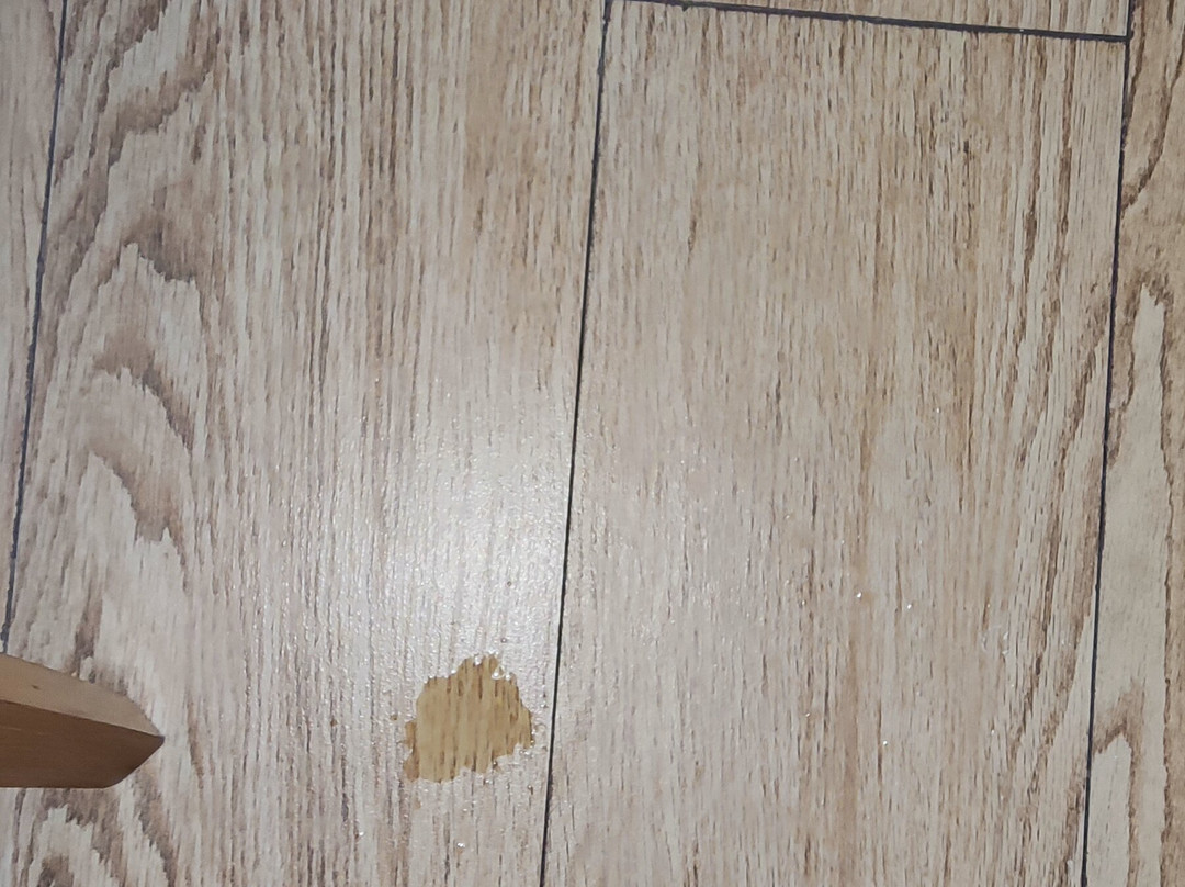 Vega Hotel Gading Serpong主图