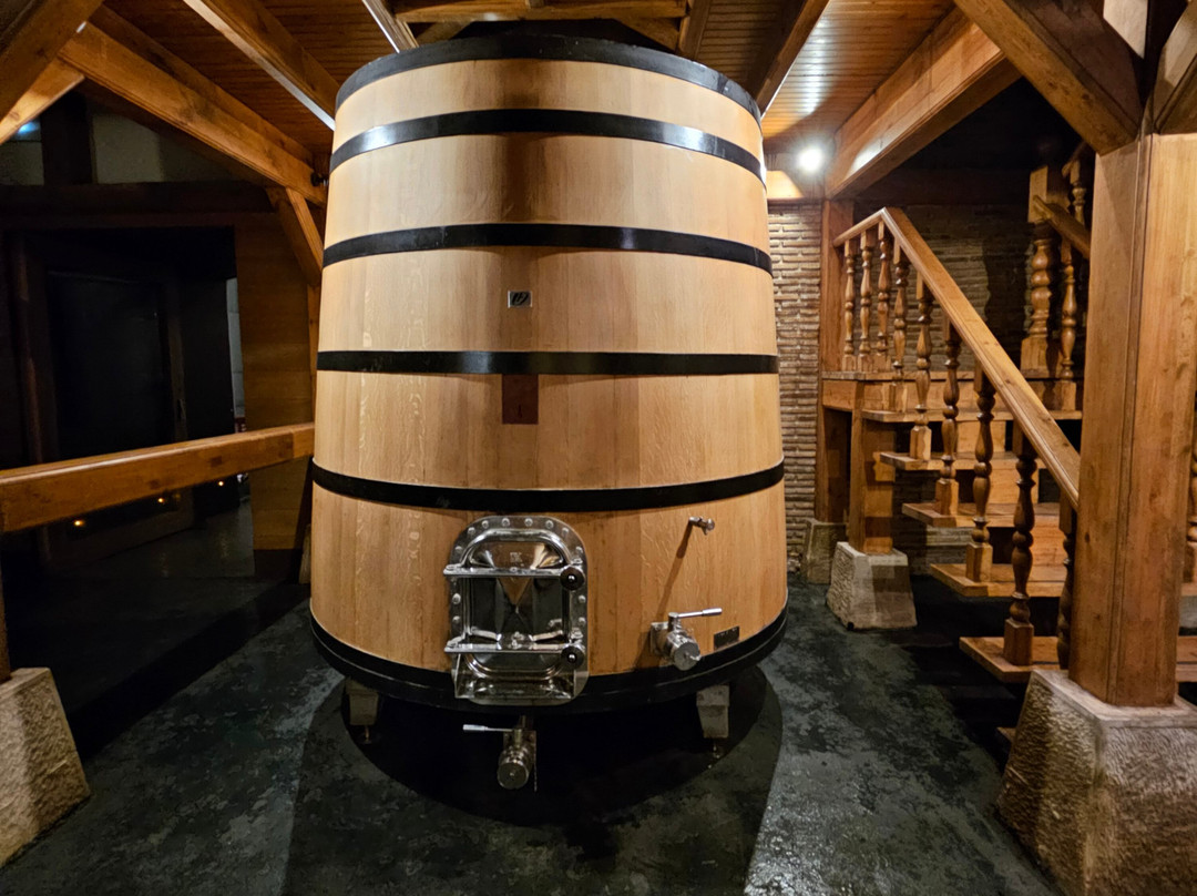 Bodegas Izadi景点图片