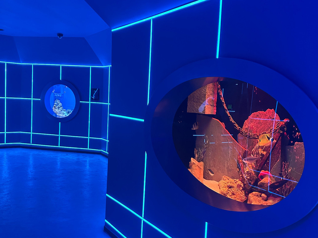 Center of  Oceanography and Marine Biology Delfiniya-新西伯利亚必去景点