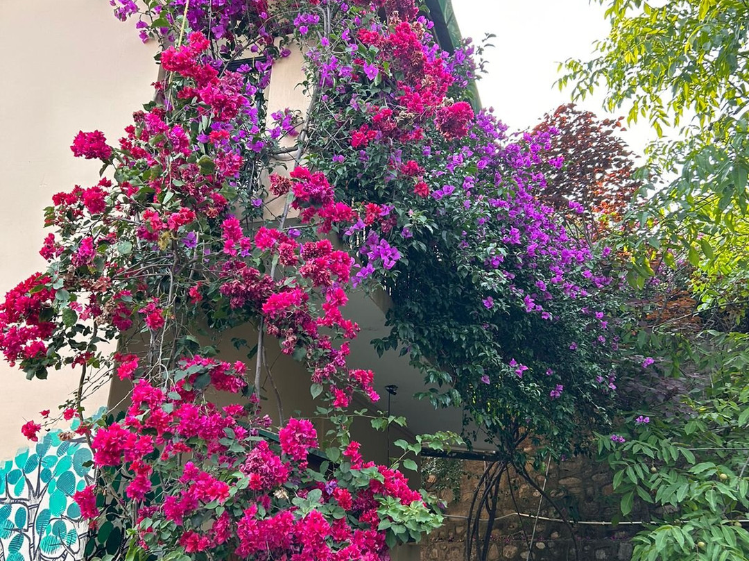 Firdaus Naukuchiatal主图