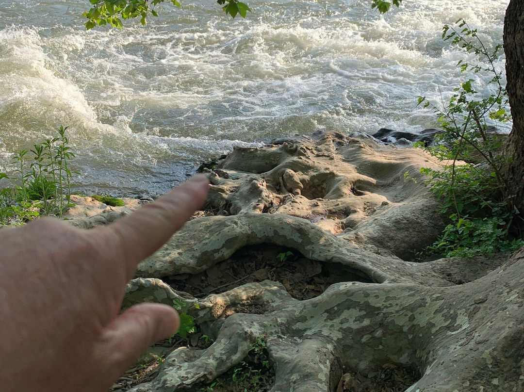Shenandoah River Outfitters-卢雷必去景点