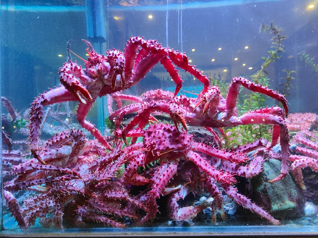 Tía Elvira Restaurante