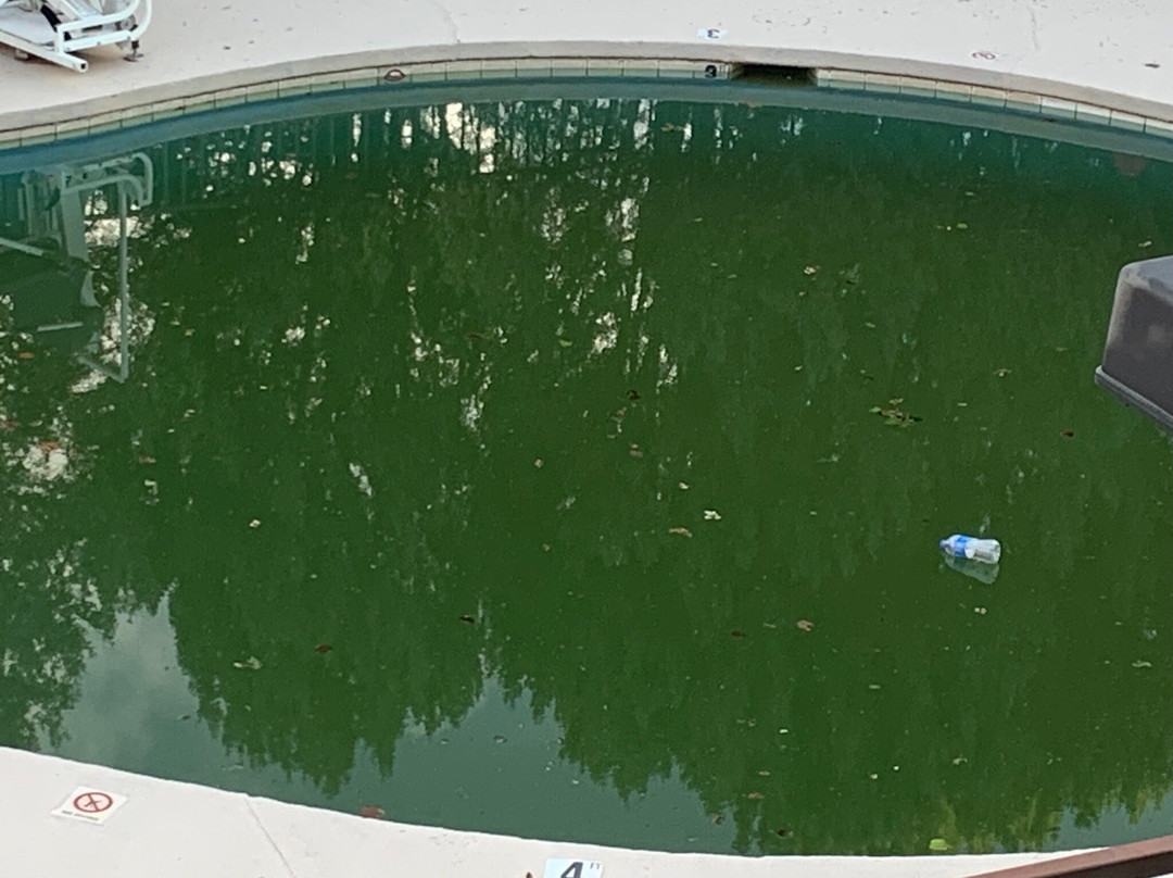 Best Western Discovery Inn主图