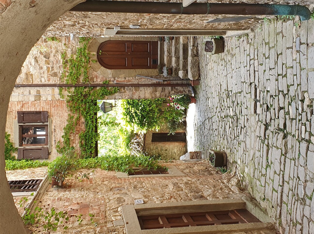Montefioralle Winery-格雷韦伊恩基亚恩蒂必去景点
