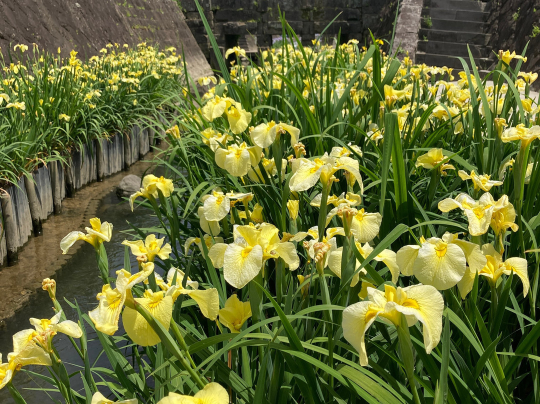 Furusato Center Ybox-玉名市必去景点