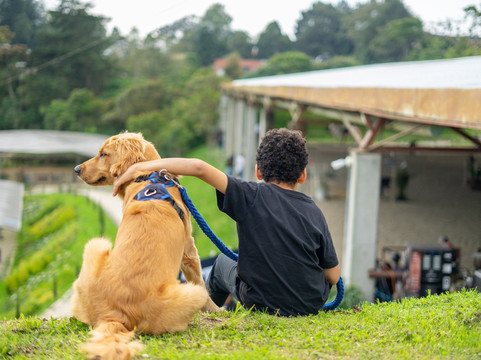 Equus-恩维加多必去景点