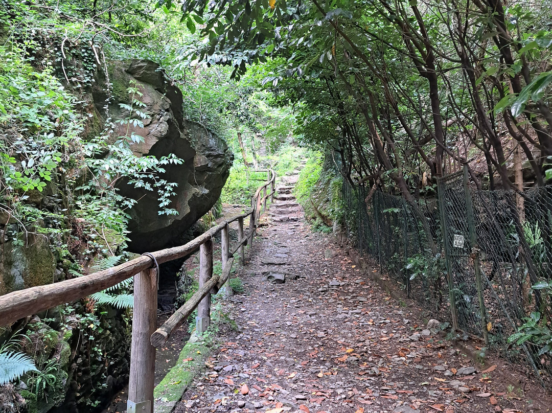 Parco delle Marmitte dei Giganti-Chiavenna必去景点