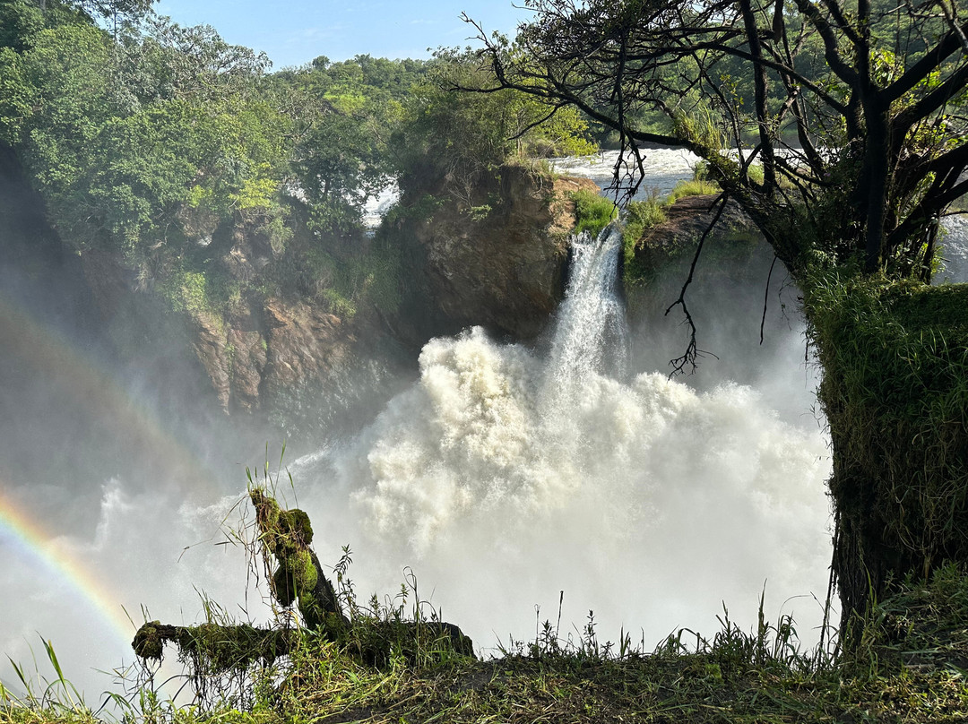 Lakato Safaris-坎帕拉必去景点