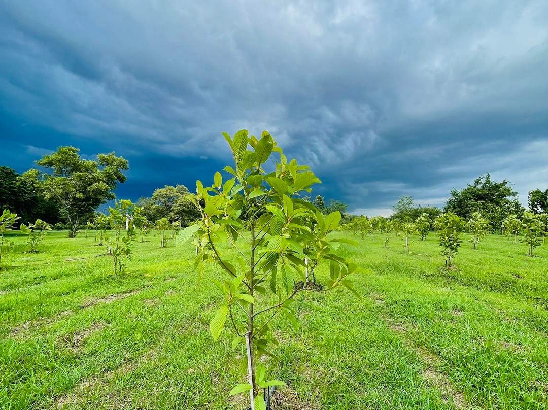 阿雅德哈拉村酒店主图