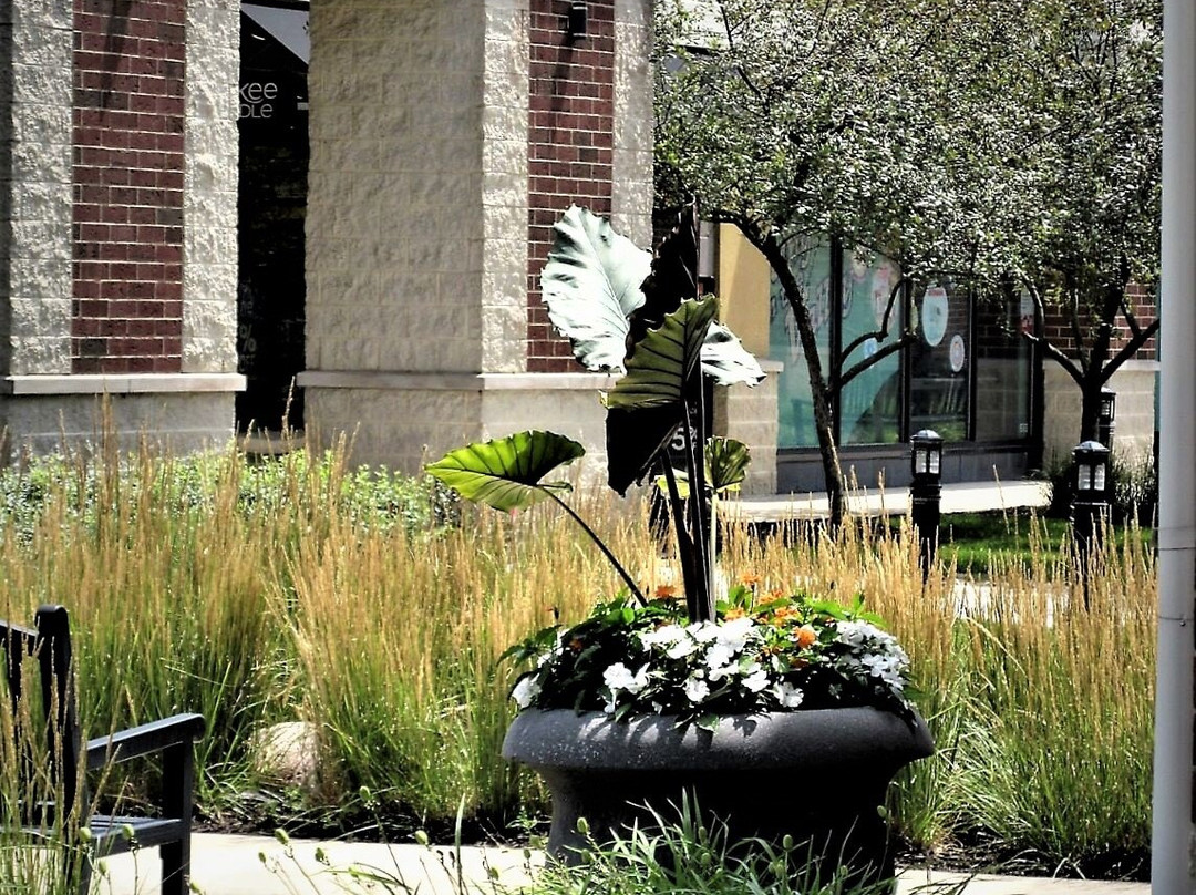 the Shopps at Grand Prairie-皮奥里亚必去景点