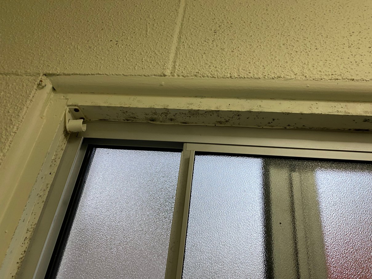 卡德威尔海滩酒店-客卧