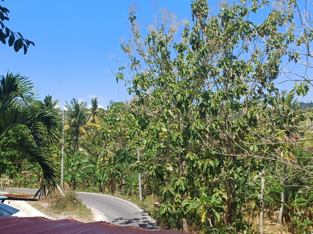 Rumah Makan Batu Timbul Mesari