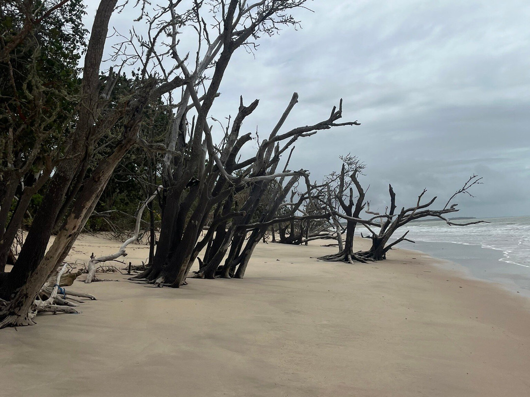 Pousada Rio Do Peixe主图