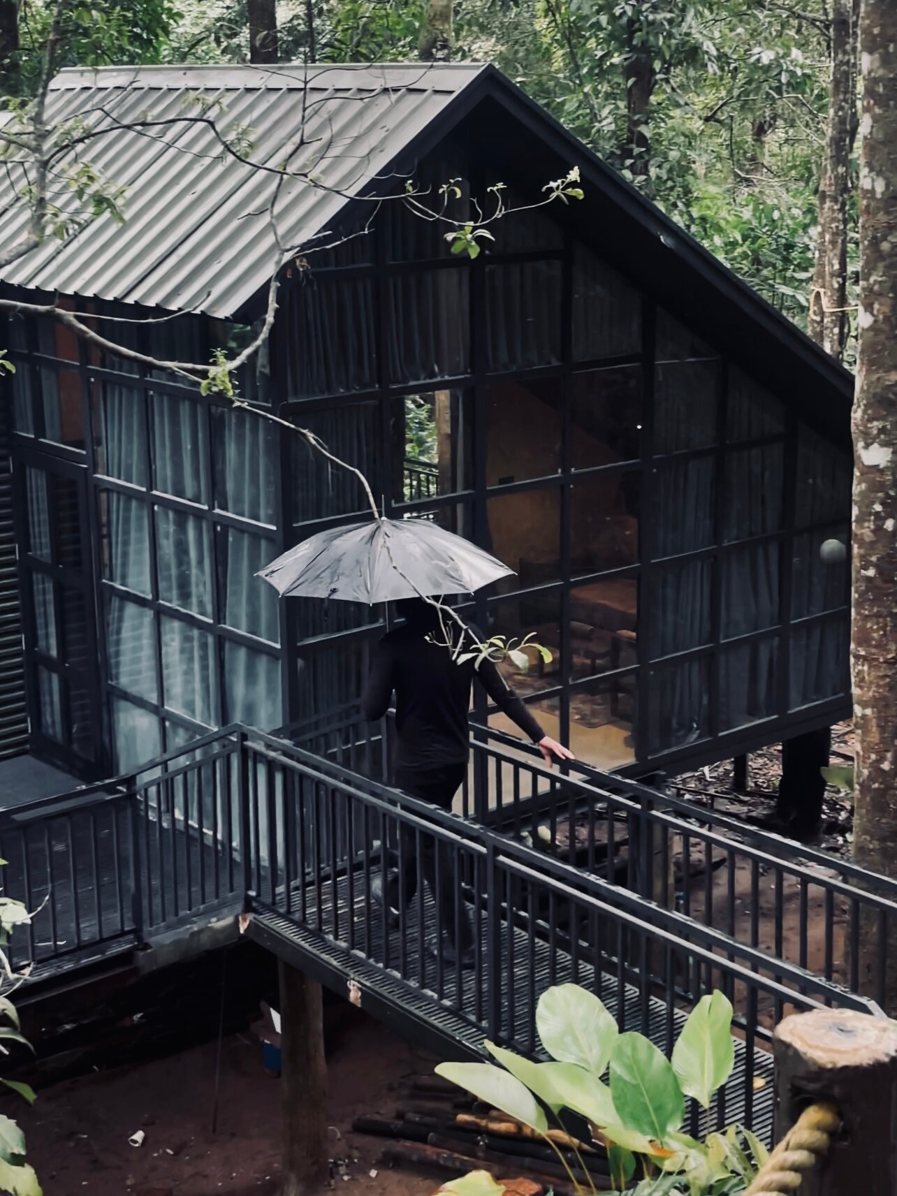 Jungle Beats Resorts-官方