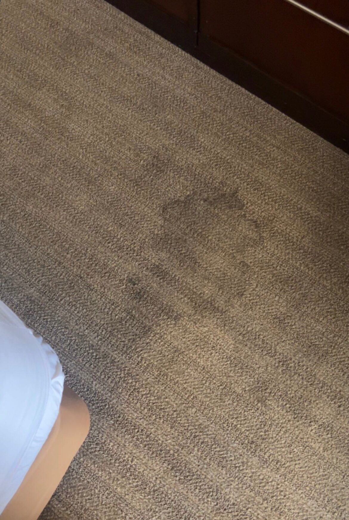 DoubleTree by Hilton Hotel St. Louis - Westport-客卧
