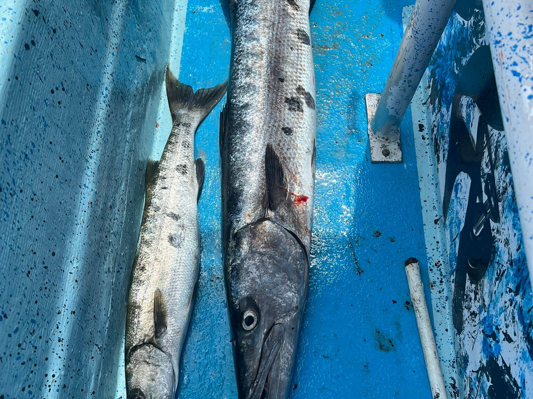 la diosa del mar tours costa maya-Mahahual必去景点