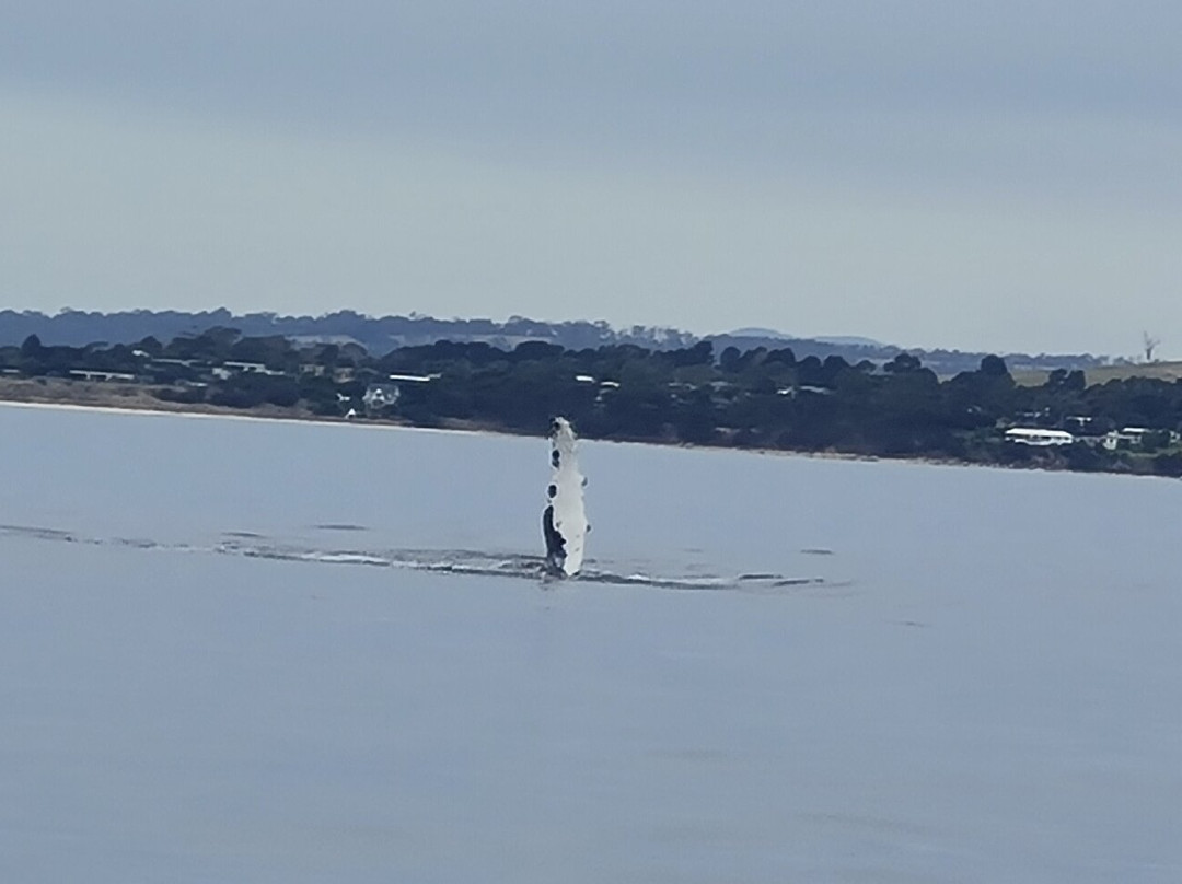 Discover Australia Holidays-霍巴特必去景点