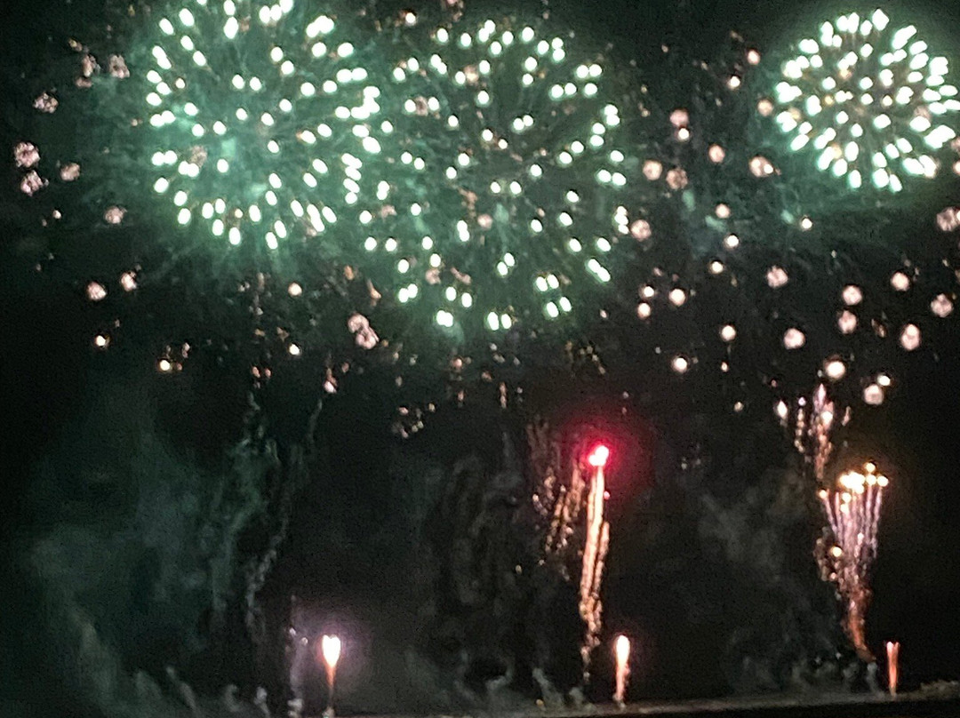 Atami Sea Fireworks-热海市必去景点