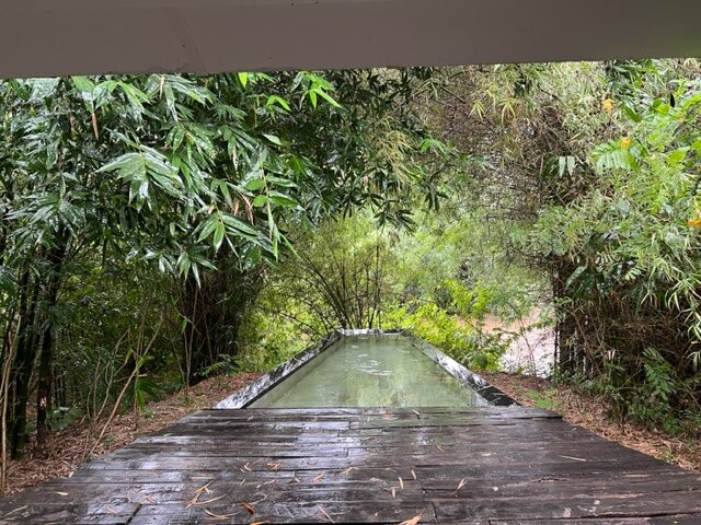 Red Earth Tadoba主图