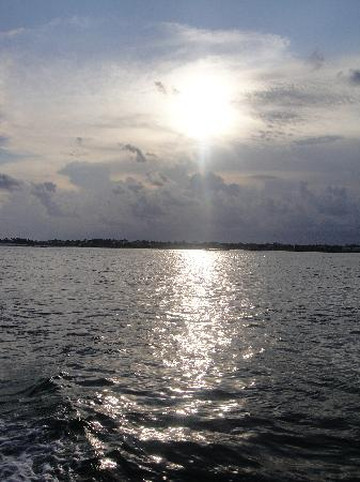 Glass Bottom Dolphin Tours-橙色海湾必去景点