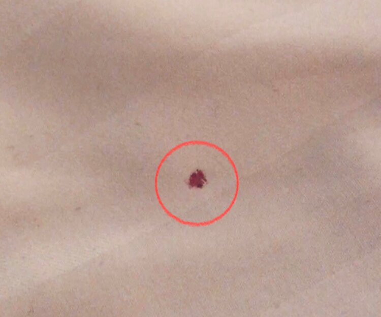 Riddersviks Events & Conference center-客卧