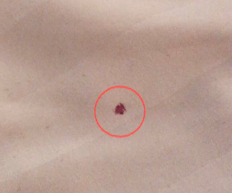 Riddersviks Events & Conference center主图