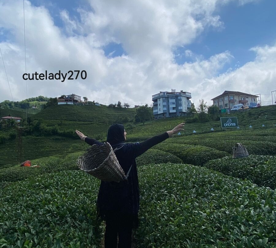 Ceceva Koyu-Haremtepe景点图片
