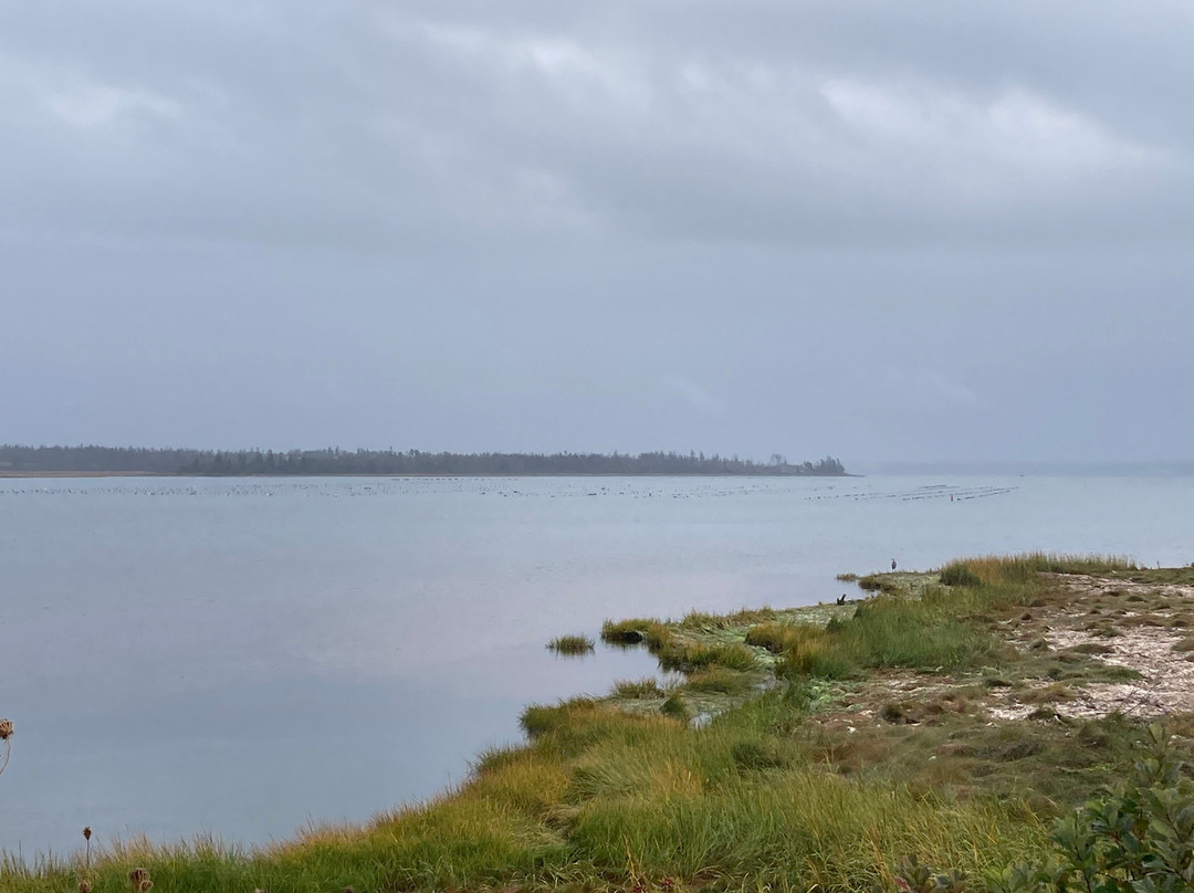 Duncan's Island Tours景点图片