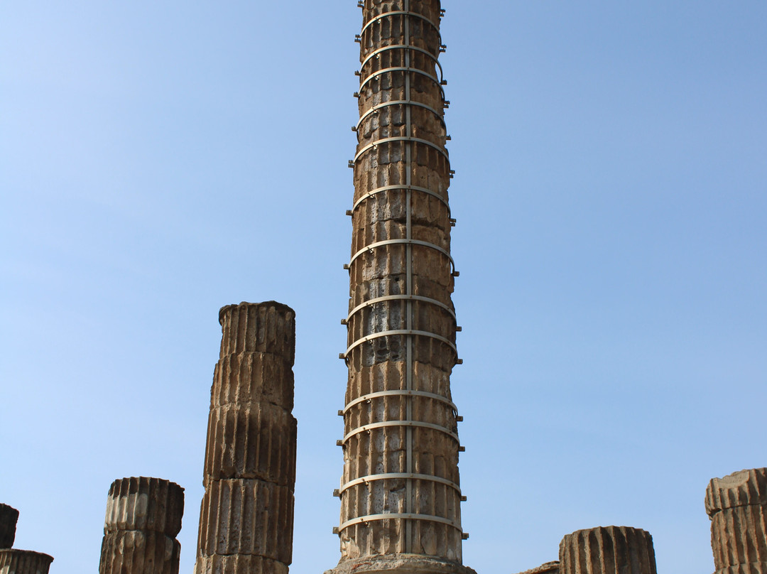 Tempio di Giove Capitolino景点图片