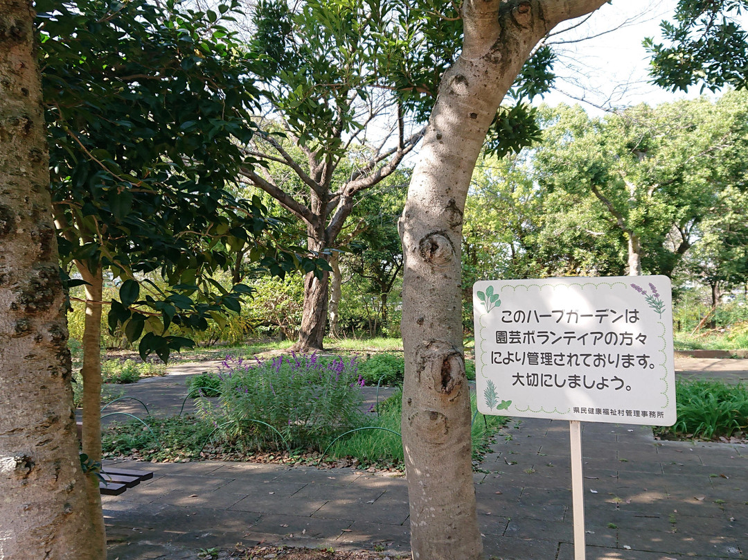 Saitama Prefecture Health & Welfare Village-越谷市必去景点