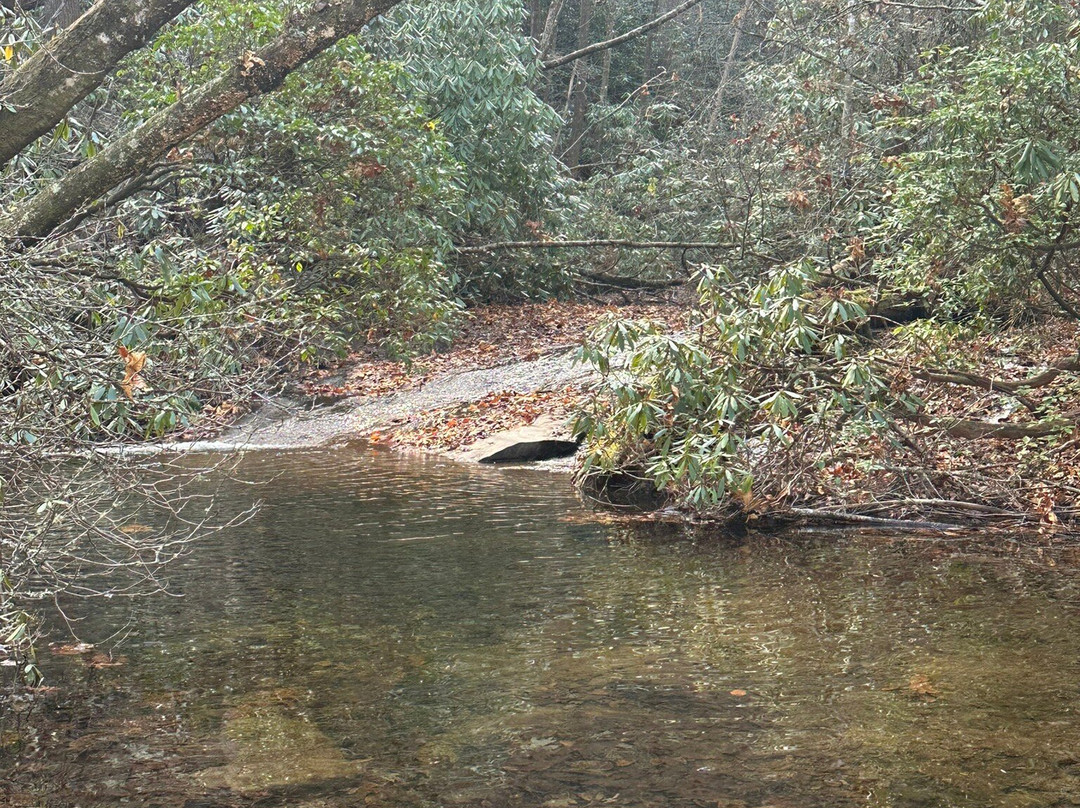 Helton Creek Falls景点图片